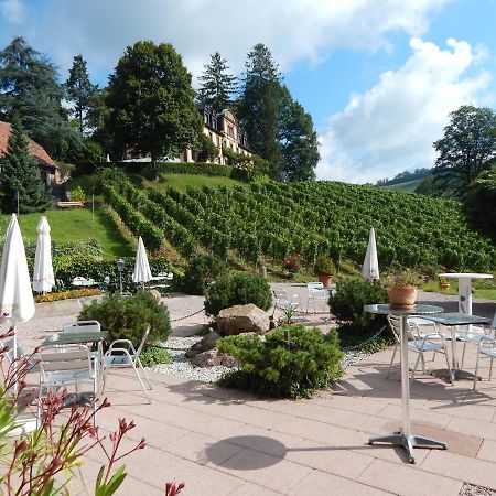 Wein Lodge Durbach - Gruppenhaus Weingut Neveu Eksteriør billede
