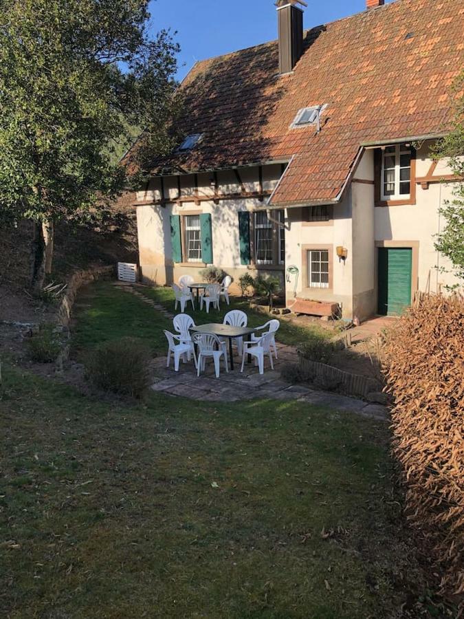 Wein Lodge Durbach - Gruppenhaus Weingut Neveu Eksteriør billede